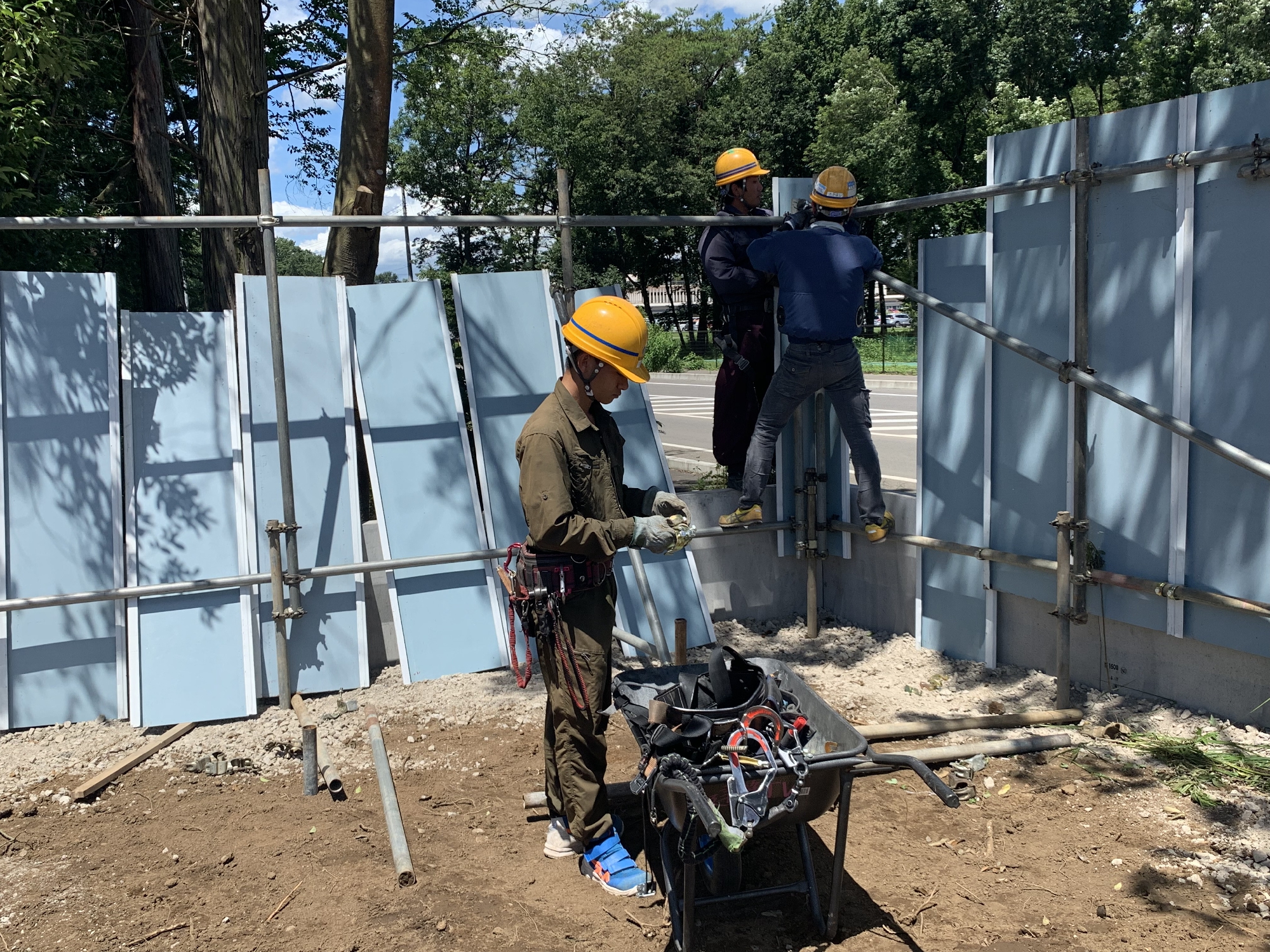 実習生の頑張り